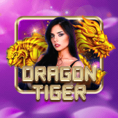 Dragon Tiger on nustar gaming live casino